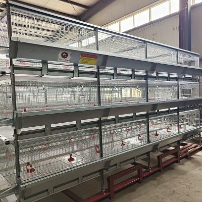 China Vleeghuisapparatuur Kipbroilerhuis Ontwerp Broiler Kipkooi System Broilerboerderij Kipkooi Te koop