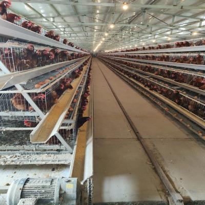 China Poultry Battery Cage Chicken Raising Equipment H Type Laying Hens Poultry Chicken Cage For Layers for sale