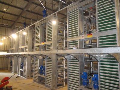 China H Type Layer Chicken Cage Automatic Poultry Equipment Battery Cage For Layer Chicken for sale