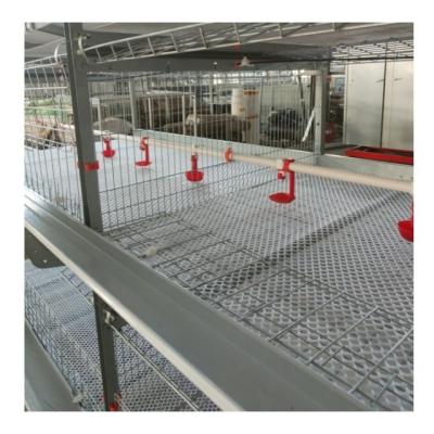 Cina 3 pneumatici 2150x2300x1600mm attrezzature per l'allevamento di polli per le galline ovaiole gabbia per polli in vendita