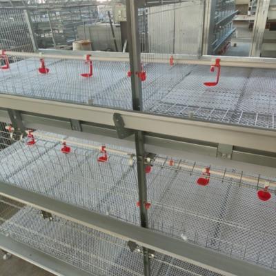 China Large Modern Poultry Farm Equipment Automatic Egg Layer Chicken Farm Laying Hens Poultry Battery Cages For Sale for sale