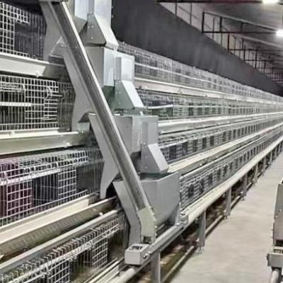 China Cajera de aves de corral de capas Pollo de batería jaulas de capas automáticas jaula de aves de corral con alimentador y bebedor en venta