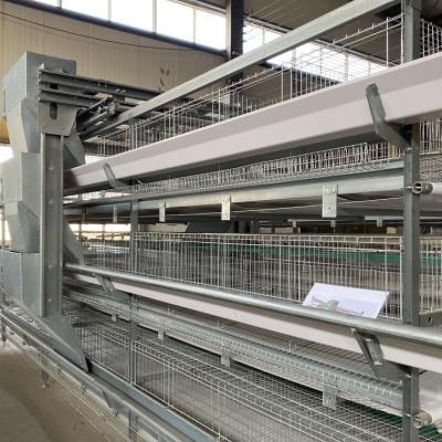 China Hot Galvanized Poultry Farming Equipment Automated Layer Chicken Broiler Chicken Farming Cage for sale