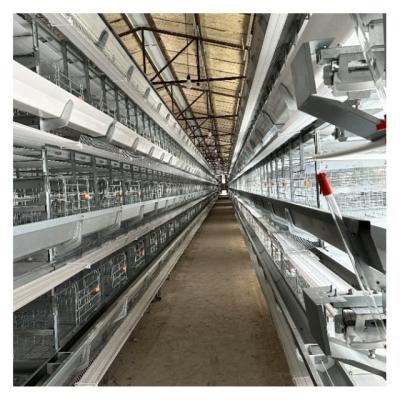 China Hot Galvanized Automatic Layer Cage Broiler Cage For Farm Equipment Automatic Chicken Cage  System for sale