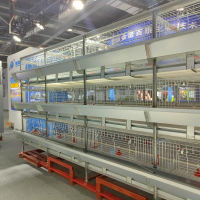 China Gaiola quente da exploração avícola da galvanização, gaiola de aço da galinha de 3/4 séries para galinhas das camadas à venda