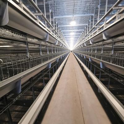 Chine Équipement de cage de poulet de batterie de 4 planchers à vendre