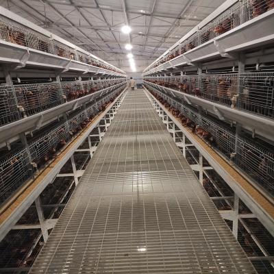 Cina avicoltura della gabbia in batteria di strato del pollo 4Tier, attrezzatura di avicoltura dello SGS di 192 uccelli in vendita