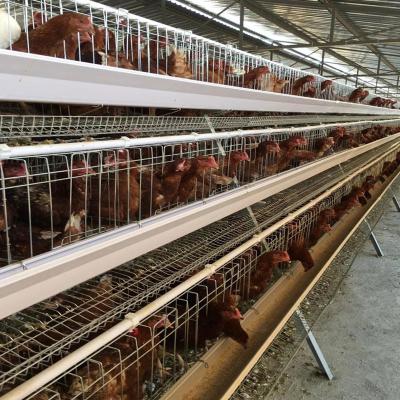 China 3 Tier Layer Egg Chicken Cage for sale