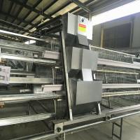 China 430x450x410mm gaiola da camada de 3 séries, equipamento de cultivo da camada de Soncap à venda