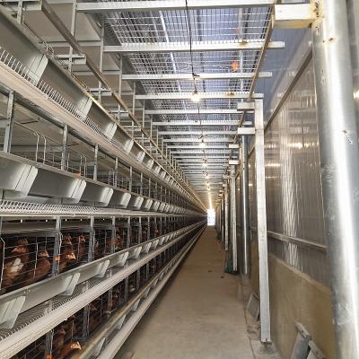 Κίνα H Type Fully Automatic Battery Chicken Cage Poultry Farm Feeding Equipment 10 Tiers προς πώληση