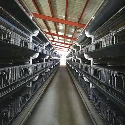 Chine oiseau galvanisé à chaud du fil 275g/M2 multipliant les cages, cages enrichies par 2.5mm pour les pondeuses à vendre