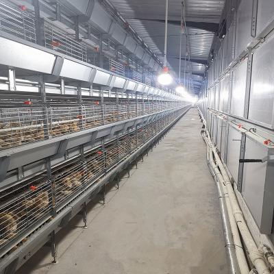 Chine Couches d'équipement de cage de poulet de HDG 3 ou 4, de volaille de cage de batterie à vendre