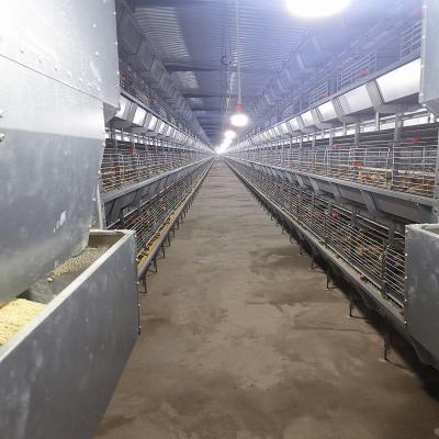 China Tipo jaula del equipo H de la parrilla de Q235 HDG del pollo de la carne de 1.0m m en venta