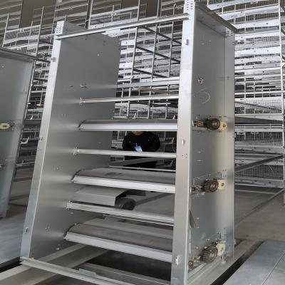 China Automatische de Mestschraper van HDG, het Materiaal van de het Gevogelteautomatisering van ISO9001 6mm Te koop