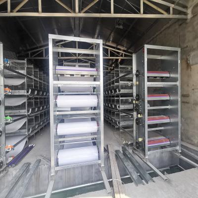 China H Type de Schoonmakende Machine van de Gevogeltedraagstoel, 1.5-3kw-SGS het Automatische Materiaal van het Laaggevogelte Te koop