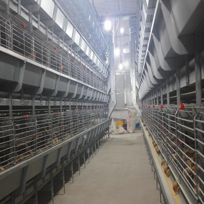 China H Type Chicken Feeder Cage Animal Laying Chicken Cages For Broilers And Chicks for sale