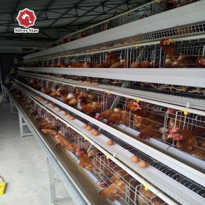 China Poultry Chicken Farm Battery Chicken Cage Equipment 96 Birds / Set for sale