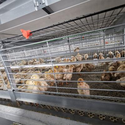 China Easy Cleaning Broiler Chicken Cage Farming Coop Animal Husbandry Equipment for sale