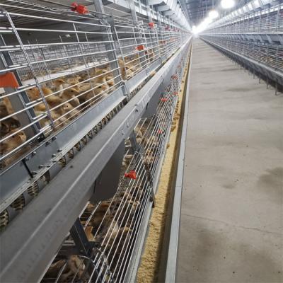 China H Frame Battery Broiler Chicken Cage Hot Galvanized Steel Wire Mesh for sale