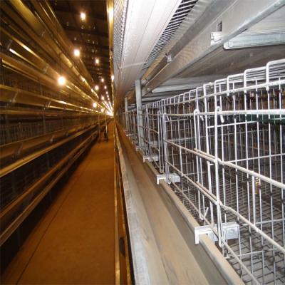 Chine Cage galvanisée froide de poulet de batterie de longue durée de vie pour la cage de poulet à vendre