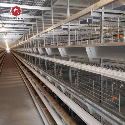 China 9 Layers / Cell 380V Battery Chicken Cage Provide Free Design for sale