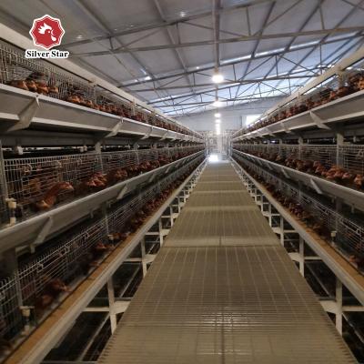 China Long Time Use Hot Galvanized Broiler Chicken Cage 17 Chicks / Cell for sale