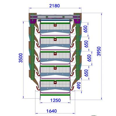 China Galvanizing Meat Chicken Poultry Farm Cage Automatic Broiler Cage 272 Birds for sale