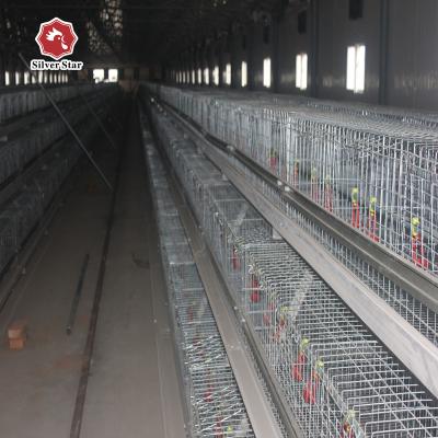 Chine Hot Galvanized  Full Automatic Baby Chick Cage à vendre