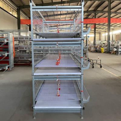 China H Type Broiler Cage With Poultry Drinking System for sale