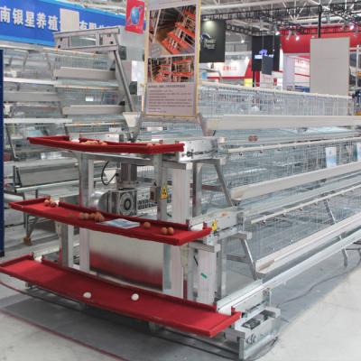 China 3 Tiers Automatic Battery Cage Poultry Farming A Type for sale