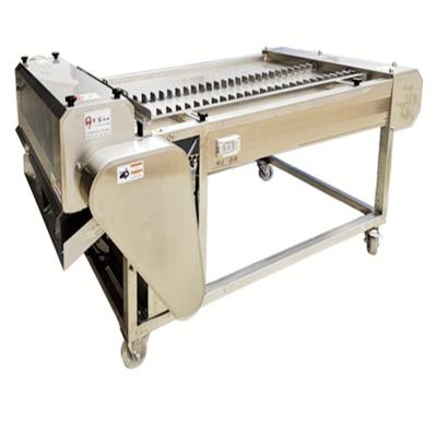 China Fish Steak Cutting High Productivity Belt Fish Steak Cutting Machine YUKE Hairtail Frozen Fish Steak Belt Frozen Fish Steak for sale