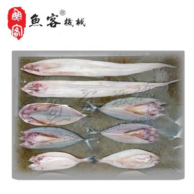 China Restaurant Factory Direct Sales Small Fish Processing Cutting Fillet Machine Fish Bone Separator With CE for sale