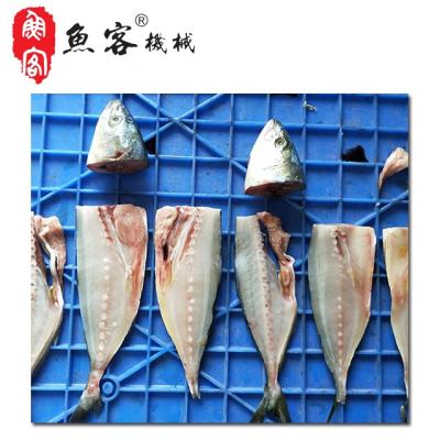 China Make Fish Food YuKe Brand FCM618 High Quality Long Time Span Head Fish Cutting Machine Fish Heading Machine For Sale for sale