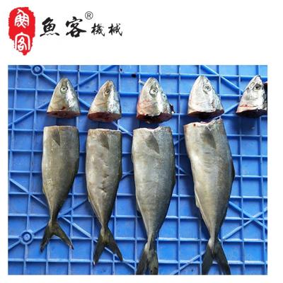 China Hotels Factory Direct Sales, CE Certificate Fish Processing Machine Fish Cutting Machine Fish Blindfold Processing Machine for sale