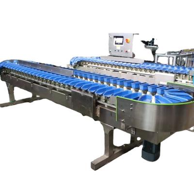 China Sea Cucumber Weight Conveyor Belt Weigher Automatic Integrated Commodity Check Sorter Weight For Food And Other Industry for sale