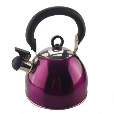 China In Stock Whistling Kettle Stainless Steel With Paint 304 Top Kettles 3L Cooker Siffling for sale