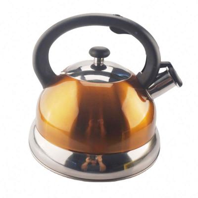 China Stocked Upper Tea Kettle Of Estufa De Carbon Lena Al Aire Libre Hervidor Silbado Te Suavizante La Acero Inoxidable Cepillado Potobelo 2 for sale