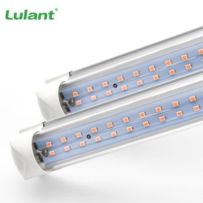 China Easy Install Customized Design Full Spectrum Plant Linear Grow Lights 36w T8 Led Grow Light Tube For Fruit Vegetable for sale