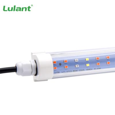 China Easy Install New Commercial Dimmable Horticulture Indoor Plant Growth Lamp Full Spectrum Led Grow Lamp Light Bar for sale