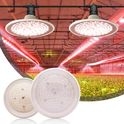 China Easy Install High Brightness 660nm Spectrum Red Plant Lamp UFO Bulb 30w Led Grow Light For Indoor Greenhouses Flowers for sale