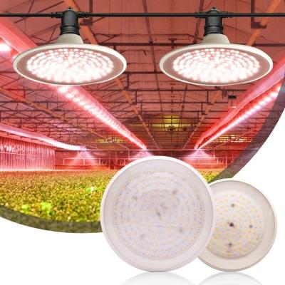 China Easy Install Full Spectrum Indoor Plant Growth Lamp 30w UFO LED Grow Light Bulb For Hydroponic Lighting Greenhouse for sale