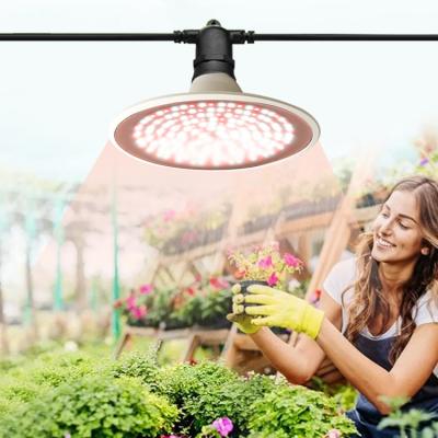 China Easy Install Good Quality Indoor Plant Fruits VEG Grow Lights 15w COB Led Grow Bulb For Hydroponics for sale