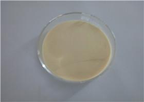 China Erhöhtes Pulver Knochen Tren Ace/Azetat Finaplix Trenbolone Gewichtsverlust CASs 10161-34-9 zu verkaufen