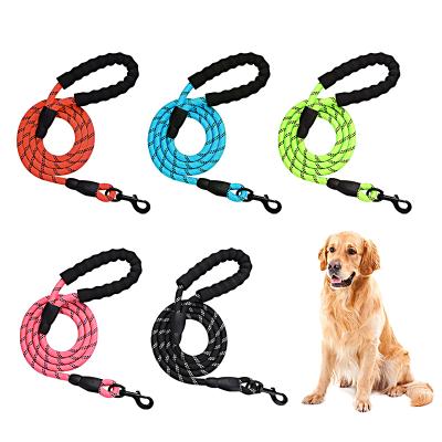 China Durable Delicate Appearance Waterproof Twine Braided Nylon Rope 4 Mm Pet Leash for sale