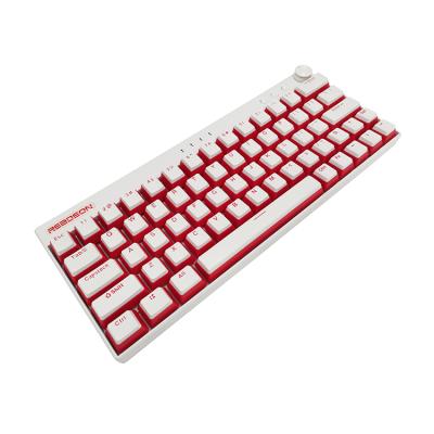 China 2021 new arrival Anti-ghosting three-mode RGB backlit mini keyboard wireless manufacturer for sale