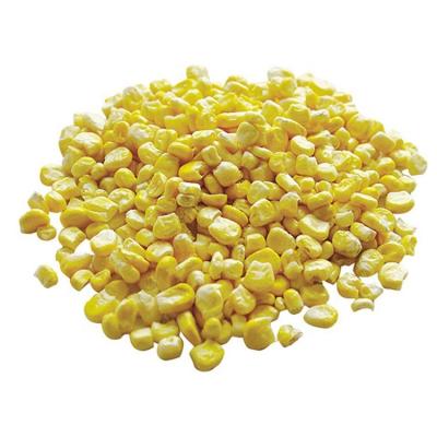 China Cheap dry freeze dried vegetable bulk freeze dried food dried corn for sale for sale