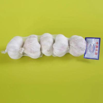 China Food Factory Custom Knitted Plastic Mesh Tubular Net Packaging Garlic Onion Fruit Eggs for sale