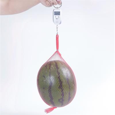 China Various Food Good Quality Vegetable Storage Fruit Protection Pouch Net Supplier for sale