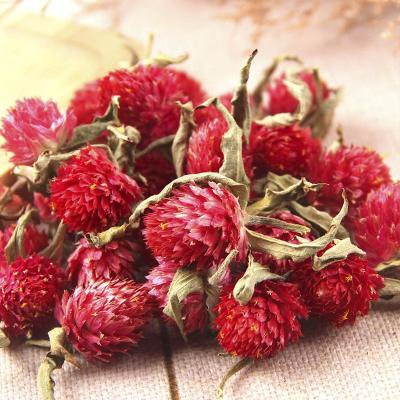 China Rare Chinese Herbs Premium Amaranth Flower Tea Globe Amaranth Flower Tin Package In Stock For Red Natural Dry Organic Cough Relieve for sale