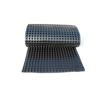 China Double Side HDPE Dimple Nail Drainage Board from China Modern Professional Manufacture for sale